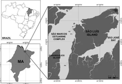 Figure 1. Position of the sampling sites and location of the estuarine complex of the São Marcos Bay, Maranhão -  Brazil.