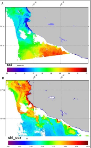 Figure 2. A. Spatial patterns of remote sensed Sea Surface  Temperature (SST), and B. Chlorophyll  α  (MODIS-Aqua), for day  28-04-11, cloudy areas are colored in white.