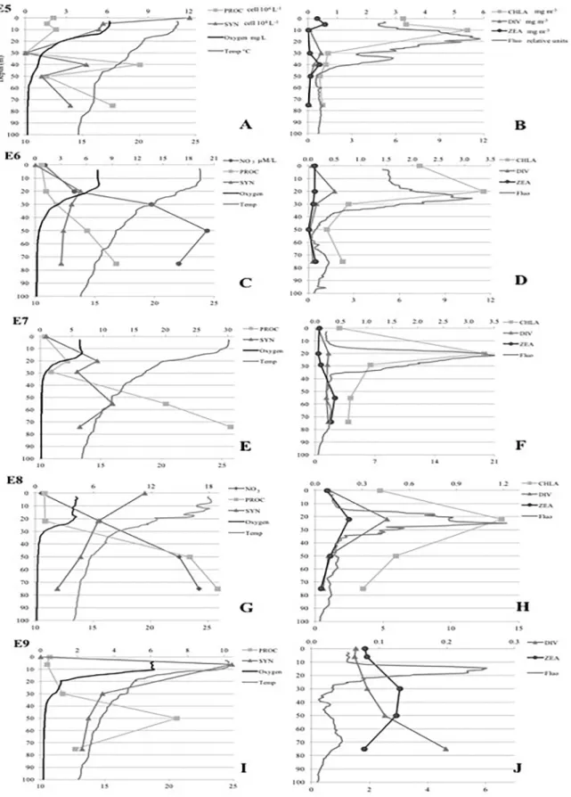Figure 3. A, C, E, G, I. Vertical profiles of physical-chemical variables (temperature, dissolved oxygen, Nitrate concentrations) and Prochlorococcus  and Synechococcus abundances