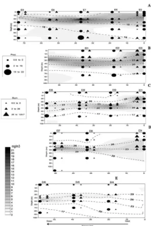 Figure 5. Transects of five zones showing distribution of isotherms,  in  situ ﬂuorescence (in relative units), and  Prochlorococcus (Proc) and  Synechococcus  (Syn)  abundances