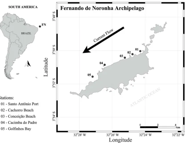 Figure 1. Study area showing the collection stations off the Fernando de Noronha Archipelago (3°50’24’’S and 32°24’48’’W), State of Pernambuco,  Northeastern Brazil