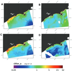 Figure 6. Spatial distribution of surface chlorophyll in  the  inner and middle continental shelf off São Paulo State (A)  October 10, 2013; (B) January 28, 2014; (C) June 30, 2014  and (D) January 17, 2015.