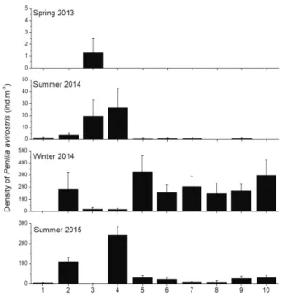 Figure 4. Mean density of Penilia avirostris at sites during  the four sampling events