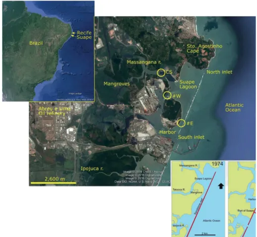 Figure 1. Localization of the Suape Estuarine System (SES) on the Brazilian coast (upper left); details of the SES with  indication of the sampling points (CS, #W and #E) and the main local features (center); sketch of the pre and post Suape Port  installa