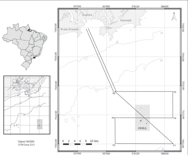 Figure 1. Geographical location of the study area. Dashed lines represent the transects surveyed during the seabird census.