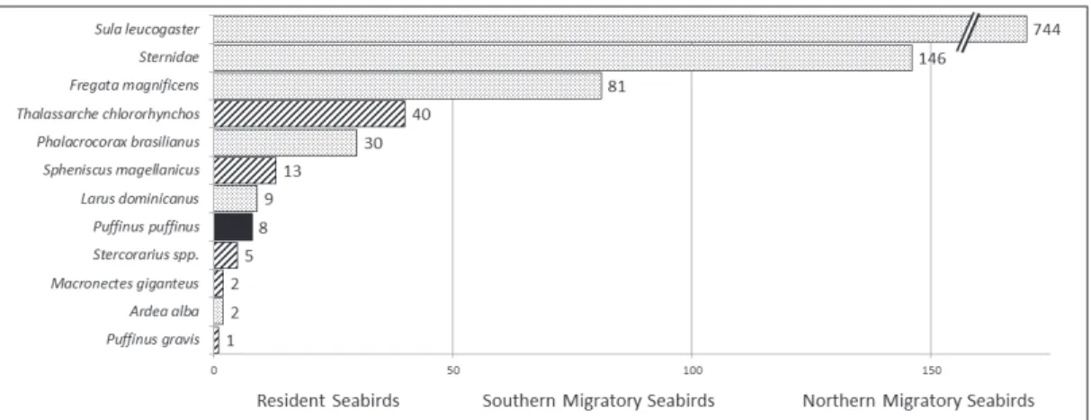 Figure 2. Number of observed individuals during the 12 surveys.