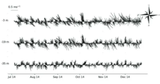 Figure 4. Time series of the current vectors measured at  LS2 (July to December, 2014)