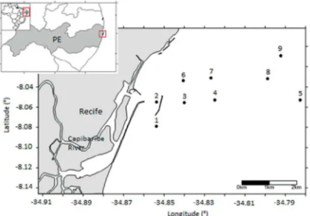 Figure 1.  Location  of  the  sampling  stations  in  the  Recife  coast,  Pernambuco state, Brazil, (July, 2013).