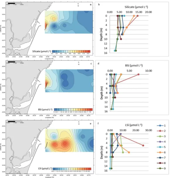 Figure 3. Surface and vertical distribution of silicate (µmol L -1 ) (a, b), BSi (µmol L -1 ) (c, d) and LSi (µmol L -1 ) (e, f) in the coast of  Recife (PE), in July 2013.