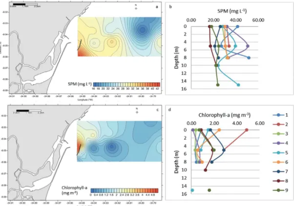 Figure 4. Surface and vertical distribution of SPM (mg L -1 ) (a, b) and chlorophyll-a (mg m -3 ) (c, d) in the coast of Recife (PE), in July 2013