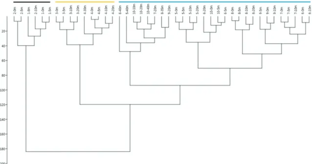 Figure 12. Dendrogram showing the groups of stations on the continental shelf off Santos.