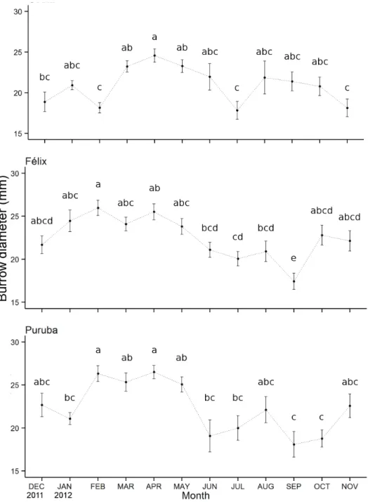 Figure 2.  Temporal variation of the diameter (mm; mean ± standard error, n=5, α=0.05) of Ocypode  quadrata  burrows,  sampled  in  three  beaches  with  different  morphodynamics  (Costa-dissipative,  Félix-intermediate and Puruba-reflective) from Decembe