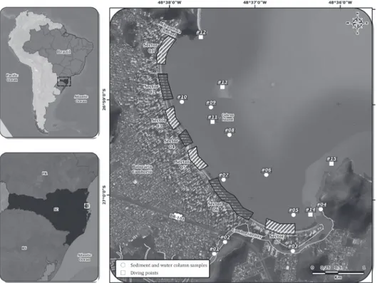 Figure 1. Camboriú beach location showing main physical and geographical features, sampling points and  beach sectors defined according to the distribution of bryozoans and diatoms deposits (see text for details).