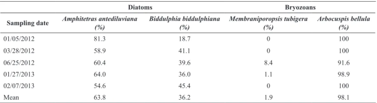 Table 3. Proportion of epibenthic diatoms and bryozoans in samples collected from of Camboriú beach deposits.