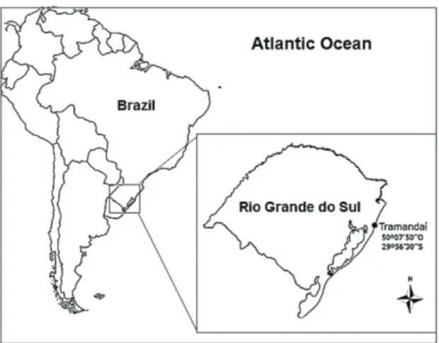 Figure 2. Illustration of profiles (A and B) and points (1- (1-6) sampling at Tramandaí beach (RS,Brazil) in the  meio-fauna study from October/2013 to May/2014.