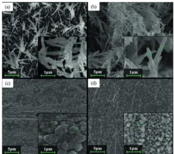 Figure 5. SEM micrographs with magnification of 100,000 and 10,000× 