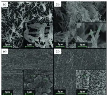 Figure 5. SEM micrographs with magnification of 100,000 and 10,000× 