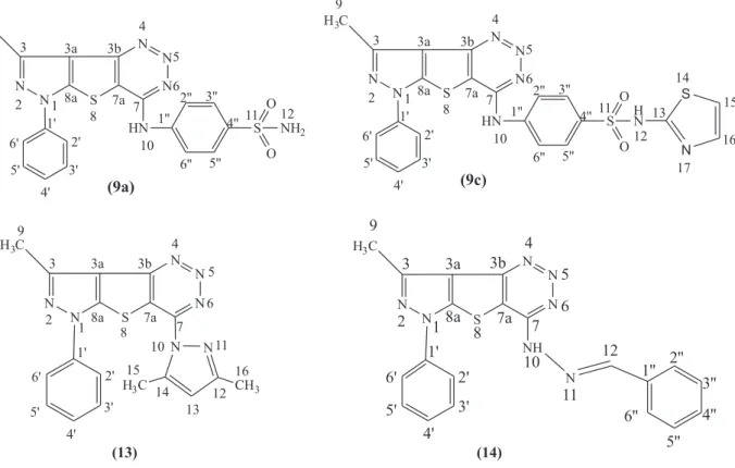 Figure 3. Carbon numbering of compounds 9a, 9c, 13 and 14.
