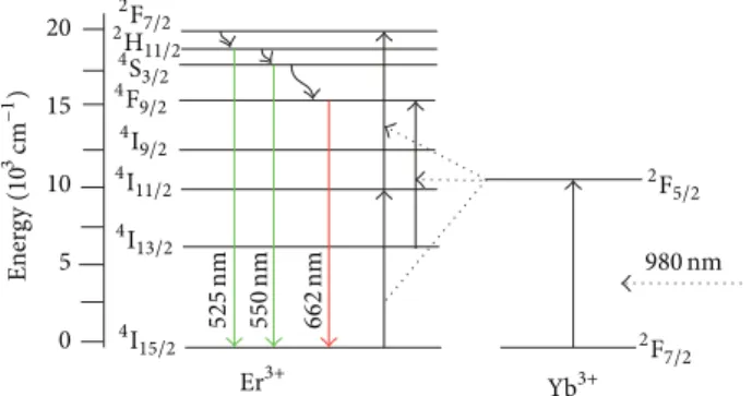 Figure 7: TEM images of the samples annealed during 48 h at 420 ∘ C [2].