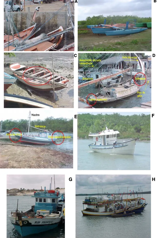 Figura 5:  Variedade de embarcações maranhense: A) Diferença entre a proa da biana e bote