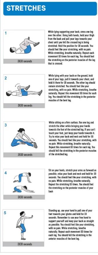 FIGURE 1: HOME EXERCISE PROGRAM BOOKLET  (FRONT), DESCRIPTION OF THE STRETCHES AND  MUSCLE-RECRUITMENT EXERCISES.