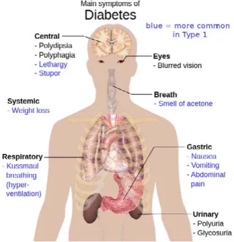 FIGURE 5. Diabetes. From  https://commons.wikimedia.org/wiki/