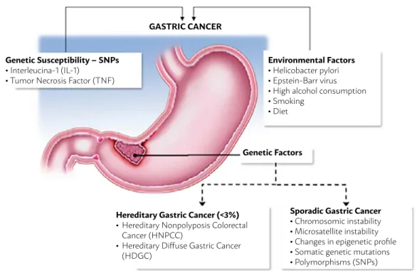 FIGURE 1. RISK FACTORS FOR GASTRIC CANCER