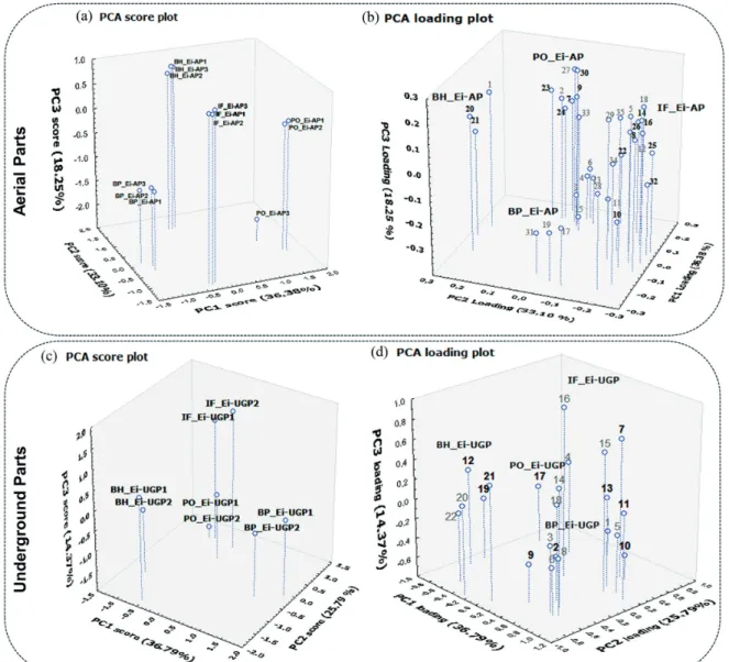 Table 3 shows some common and non-common peaks  with the major contribution or higher concentrations in  each locality and the UV spectrum group