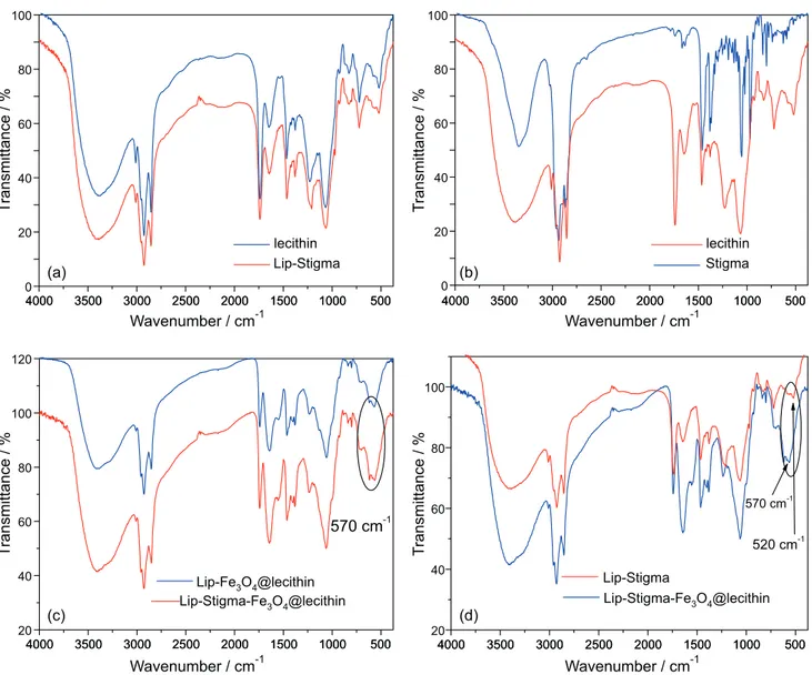 Figure 5. FTIR spectra of (a) Lip-Stigma and soy lecithin; (b) stigmasterol (Stigma) and soy lecithin; (c) Lip-Fe 3 O 4 @lecithin, Lip-Stigma-Fe 3 O 4 @lecithin; 