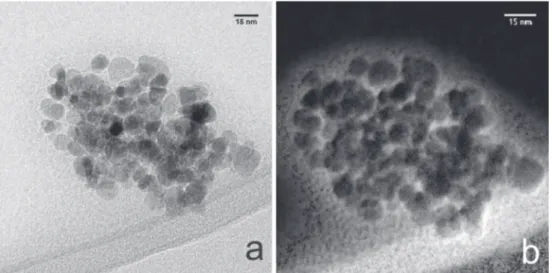 Figure 6. TEM image (a) and EFTEM maps (b) of Lip-Fe 3 O 4 @lecithin.