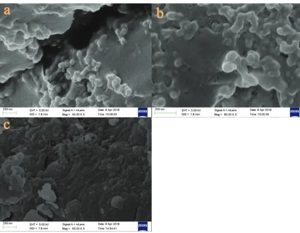 Figure 4. Comparison of SRF surface (a, b) before and (c) after nutrient release under SEM.
