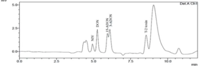 Figure 1. Representative chromatogram of a standard trichothecenes  mixture in HPLC-UV.