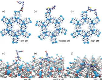 Figure 1. Lowest energy conformers of Amox bound to (a-c) ZIF-8 and  (d-f) ZnBDC under different (acidic, neutral or basic) media conditions  emulated as different protonation states of the antibiotic
