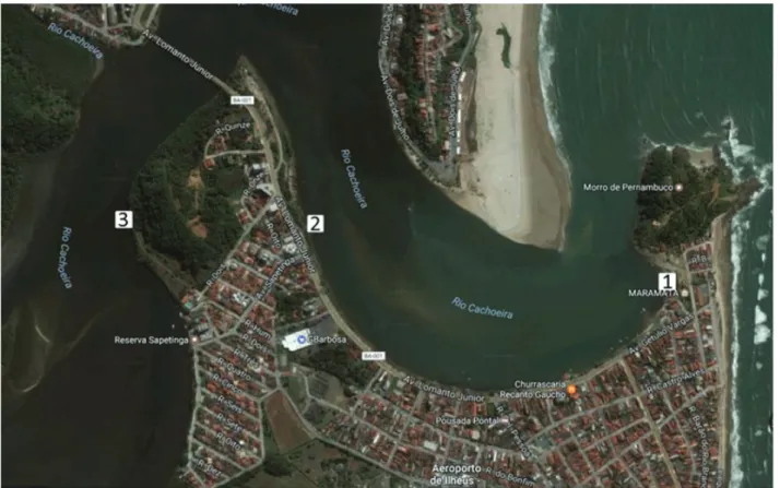 Figure 1. Location of the estuary and the sampling points of the application of the procedure.