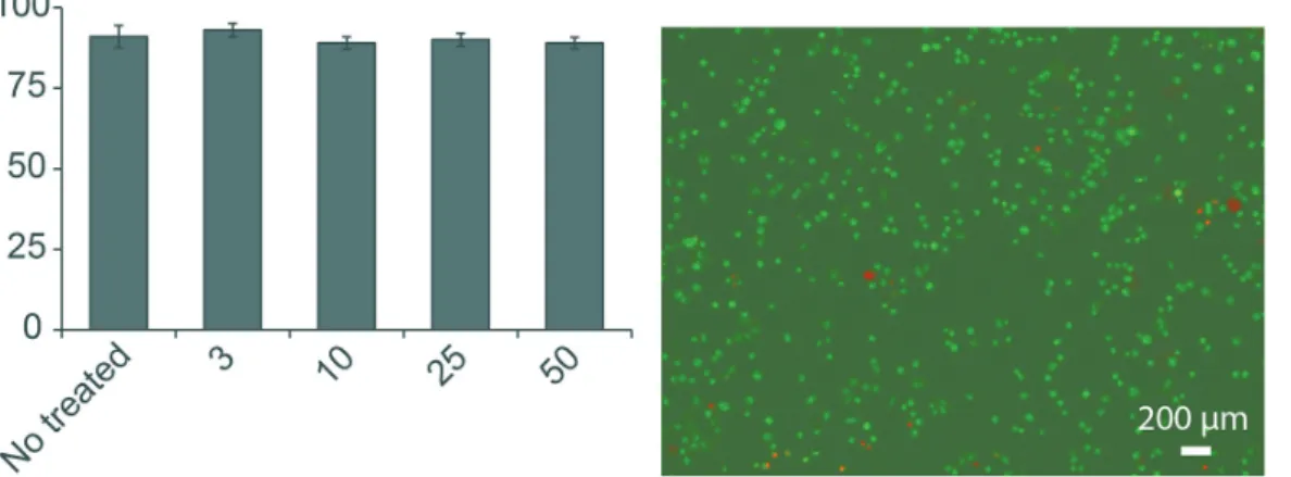 Figure 1. Impact of GSPE on cell viability. (a) GSPE at different concentrations did not affect cell viability