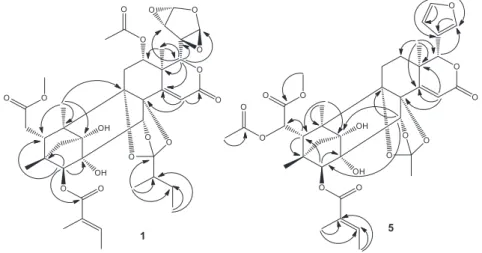 Figure 2. Selected HMBC correlations of 1 and 5.