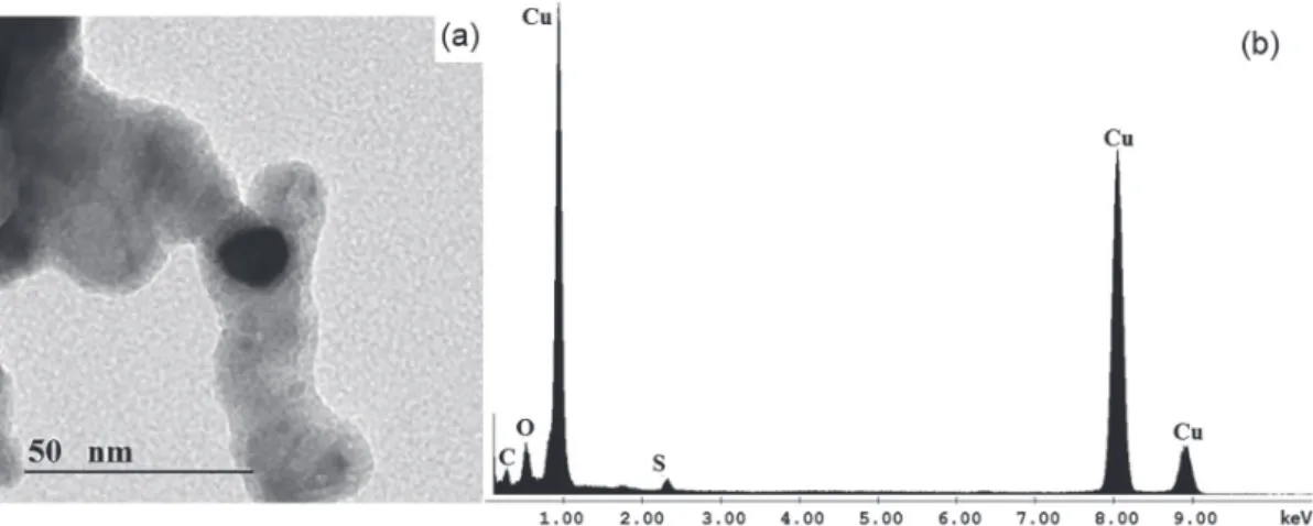 Figure 1. (a) TEM image of nZVC; (b) EDS of nZVC.