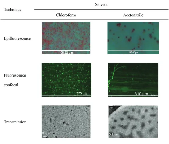 Figure 5. Epifluorescence micrographs obtained from thick MEH-PPV/PMMA blends; fluorescence confocal and transmission electron micrographs  obtained from thin films