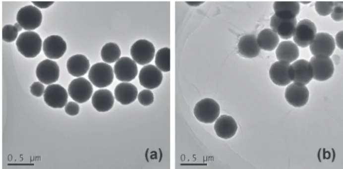 Figure 1. TEM images of (a) MN and (b) TMGO.