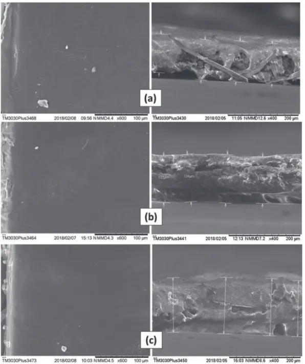 Figure 2. SEM images; surface (left) and transversal (right) sections of biofilms: (a) CH, (b) CHG1 e (c) CHG2