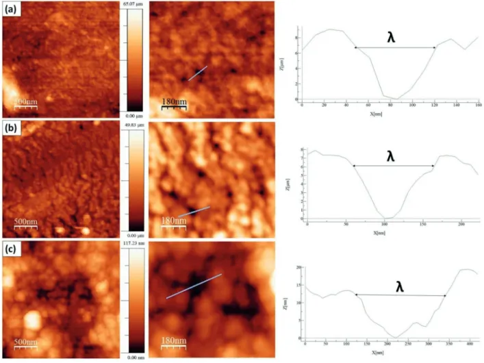 Figure 3. Biofilms topography: (a) CH, (b) CHG1 e (c) CHG2