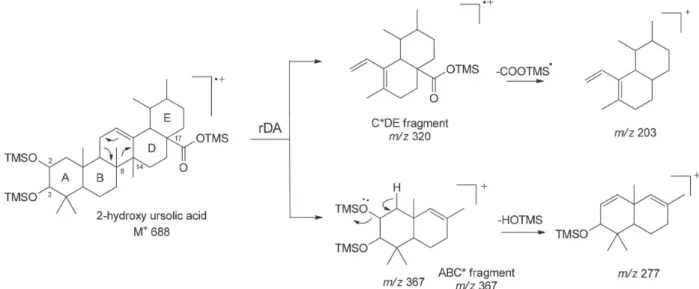 Figure 4. Proposed retro-Diels Alder fragments for 2-hydroxyursan-12-en-28-oic acid by Electron Impact ionization