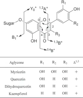 Table 3. Phenolic acids detected by UFLC-DAD-MS/MS in negative mode a  in the ethanol leaf extract of Eugenia florida Peak  Rt (min) Compound Phenolic class λmax b 