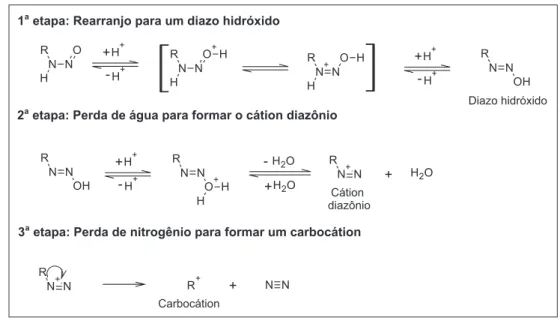Figura 2. Mecanismo da nitrosação de aminas secundárias 13  (R 1  e R 2  = radical alquil ou aril)