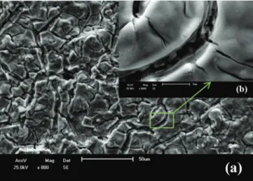 Figura 2. Imagens de MEV do ADE a base de IrO 2  e Nb 2 O 5  com magnificação  de (a) 800x e (b) 8000x no detalhe