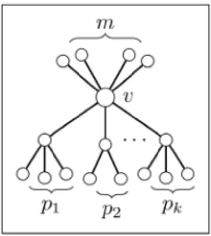 Figure 3: A diameter 4 tree T (k, p 1 , p 2 , . . . , p k , m).