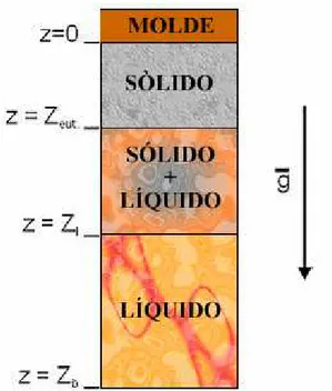 Figura 2.3 : Representação esquemática do estudo realizado por Spinelli (2005). 