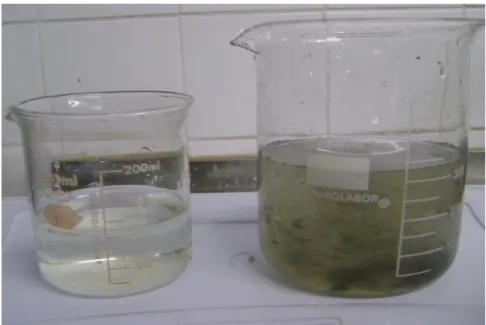 Figura 1.1Amostras de águas residuárias tratada (esquerda) e não tratada (direita)  Fonte: (Oliveira Filho, 2010)