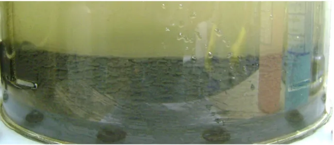 Figura 2.1Flocos gelatinosos presentes no licor misto do lodo ativado  Fonte: (Oliveira Filho, 2010) com adaptações