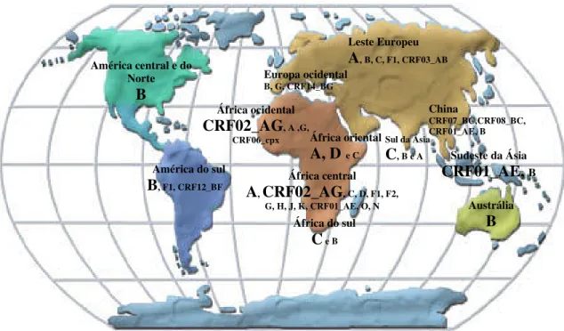 Figura 5: Distribuição geográfica das formas genéticas circulantes do HIV-1 no mundo. 